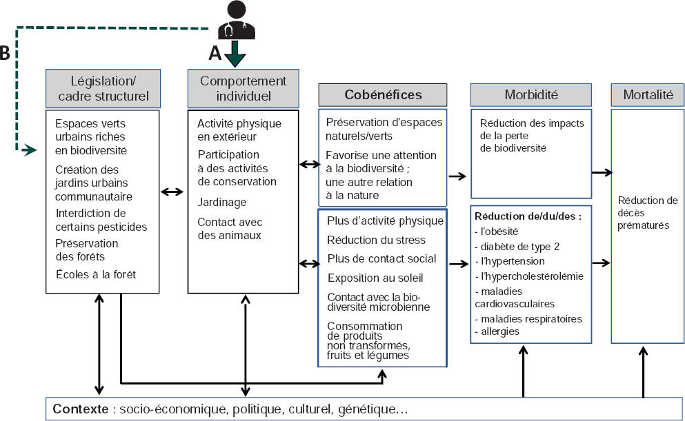 Le jardinage et la santé physique - Environnement